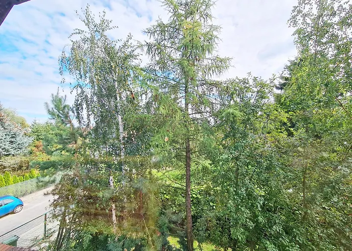 W20 Hostel Goledzinow